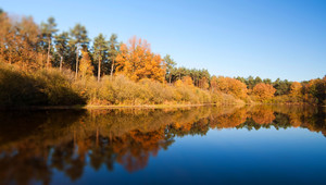 Nationaal Park De Meinweg