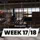 Week 17/18